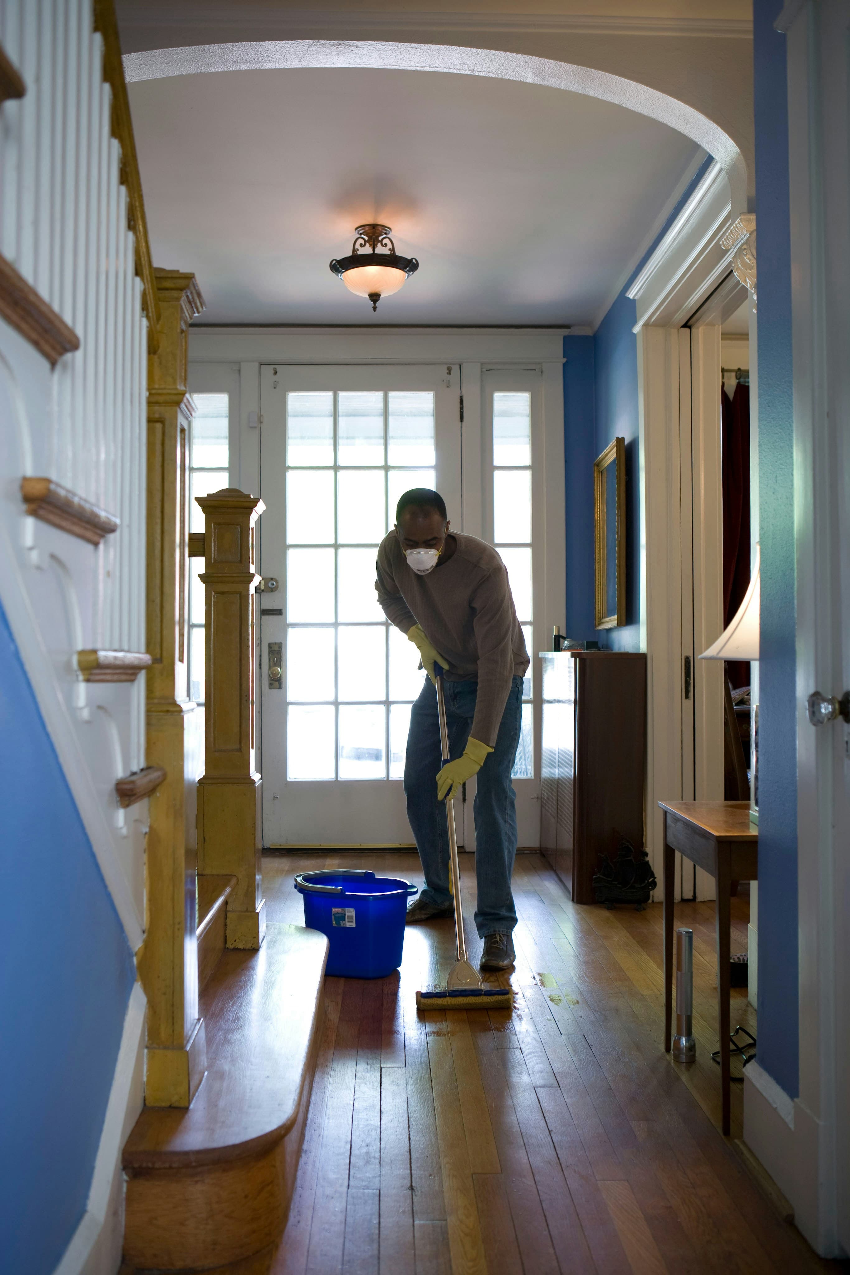 Bed Bug Treatment